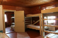 Metsis 